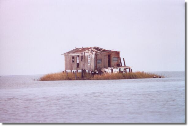 Fishing Shack