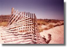 Dune Fence