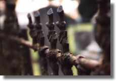 Cemetery Fence (Detail)