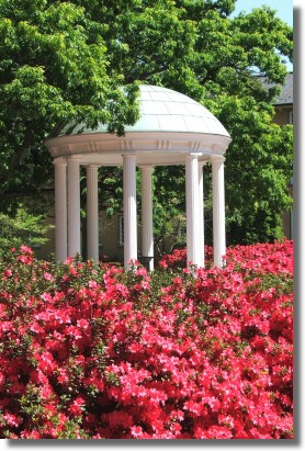 Old Well (Spring)
