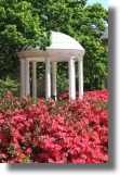 Old Well (Spring)